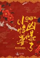 cover-重生小悍妻，凶爆了！