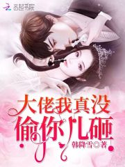 大佬我真没偷你儿砸