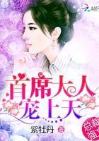 cover-首长大人，宠上天