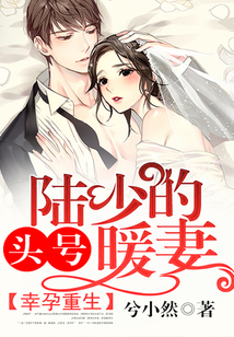 幸孕重生：陆少的头号暖妻