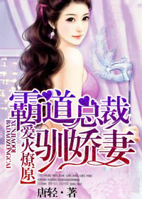 爱火燎原，霸道总裁驯娇妻