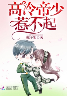 高冷帝少，惹不起