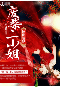 惊世魔妃：废柴二小姐