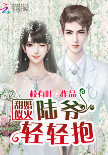 甜婚似火：陆爷，轻轻抱