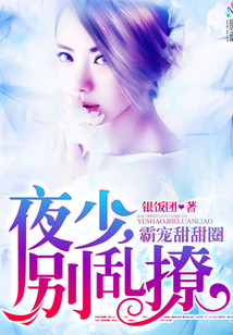 霸宠甜甜圈：夜少，别乱撩