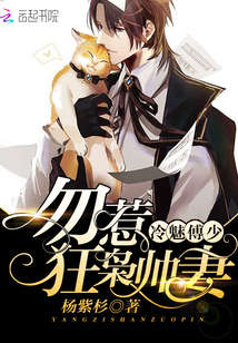 冷魅傅少：勿惹狂枭帅妻