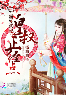 霸宠痞妃：皇叔，正经点