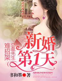 新婚第1天，总裁先生难招架