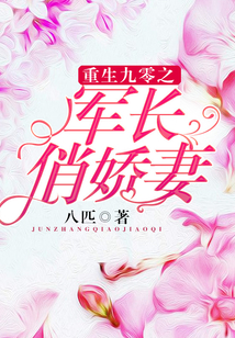 重生九零之军长俏娇妻