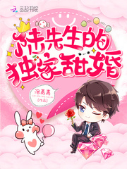 陆先生的独家甜婚