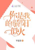 cover-你是我的骄阳似火