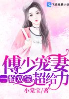 一胎双宝：傅少宠妻超给力！